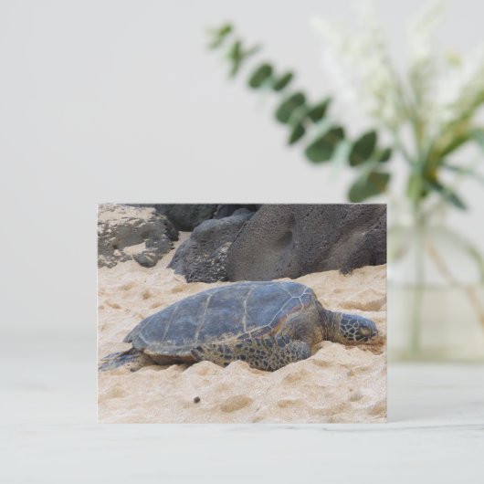 Hawaiiaanse zeeschildpad briefkaart (Staand voorkant)