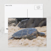 Hawaiiaanse zeeschildpad briefkaart (Voorkant / Achterkant)