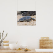 Hawaiiaanse zeeschildpad poster (Keuken)