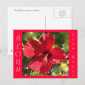 Hawaiian Aloha Red Hibiscus Flower Briefkaart (Voorkant / Achterkant)