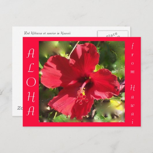 Hawaiian Aloha Red Hibiscus Flower Briefkaart (Voorkant / Achterkant)
