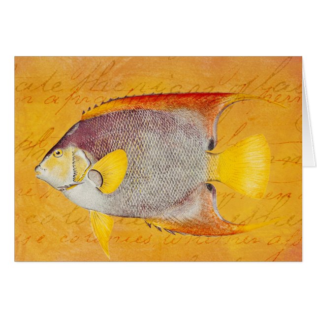  Hawaiian Angel Fish - Antiek Hawaii (Voorkant Horizontaal)