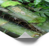 Hawaiian Bamboo en Blue Ginger Poster (Hoek)