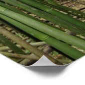 Hawaiian Bamboo Forest Poster (Hoek)