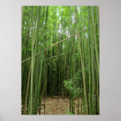 Hawaiian Bamboo Forest Poster (Voorkant)