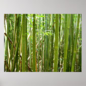 Hawaiian Bamboo Poster (Voorkant)
