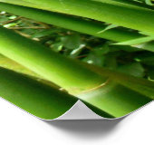 Hawaiian Bamboo Poster (Hoek)