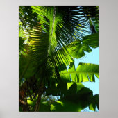 Hawaiian Banana and Coconut Trees Poster (Voorkant)
