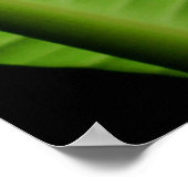 Hawaiian Banana Leaf Poster (Hoek)