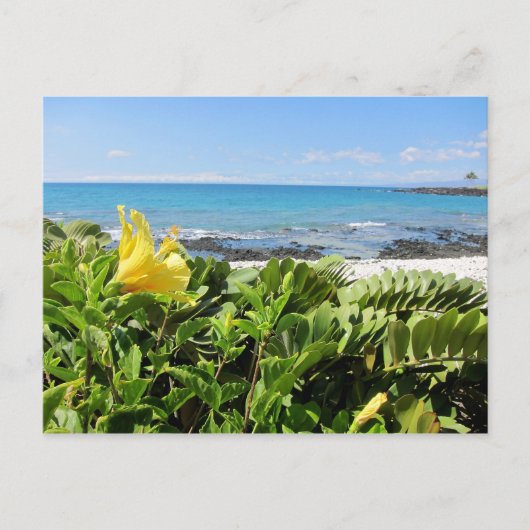 Hawaiian Beach Briefkaart (Voorkant)