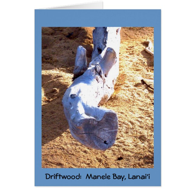 Hawaiian Beach Driftwood Blank-kaart (Voorkant)