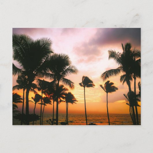 Hawaiian Beach Palm Trees Sunset - Hawaii Travel Briefkaart (Voorkant)