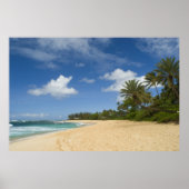 Hawaiian Beach poster VANAF 8,99 (Voorkant)