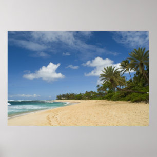 Hawaiian Beach poster VANAF 8,99