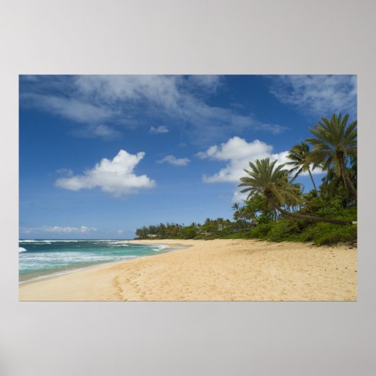 Hawaiian Beach poster VANAF 8,99 (Voorkant)