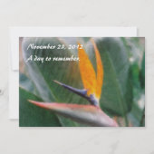 Hawaiian Bird of Paradise Invitation Kaart (Voorkant)
