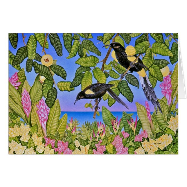 Hawaiian Bishop's O'o (Voorkant Horizontaal)