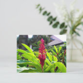 Hawaiian Bloom Briefkaart (Staand voorkant)