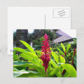 Hawaiian Bloom Briefkaart (Voorkant / Achterkant)