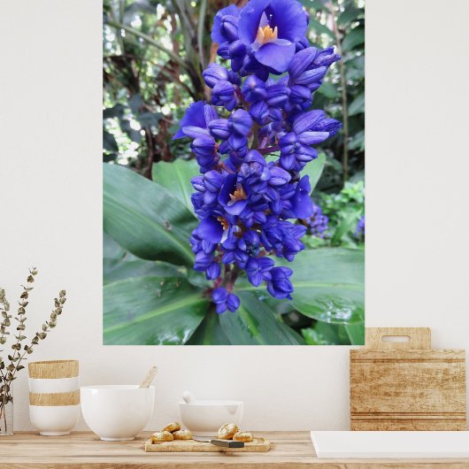 Hawaiian Blue Ginger Poster (Keuken)