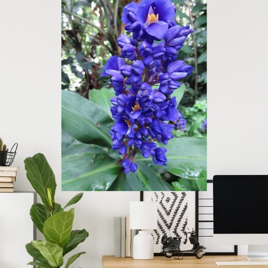 Hawaiian Blue Ginger Poster (Thuiskantoor)