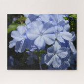 Hawaiian Blue Plumbago Legpuzzel (Horizontaal)