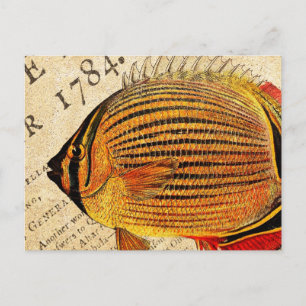  Hawaiian Butterfly Fish Gepersonaliseerd Antiek Briefkaart