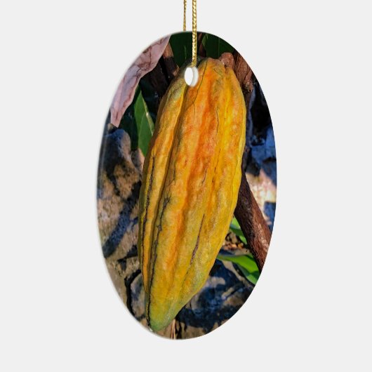 Hawaiian Cacao Pod Keramisch Ornament (Rechts)
