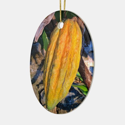 Hawaiian Cacao Pod Keramisch Ornament (Links)
