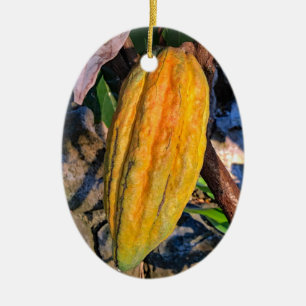 Hawaiian Cacao Pod Keramisch Ornament
