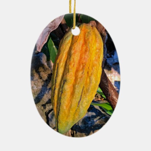 Hawaiian Cacao Pod Keramisch Ornament (Achterkant)