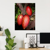 Hawaiian Cacao Pods Poster (Thuiskantoor)