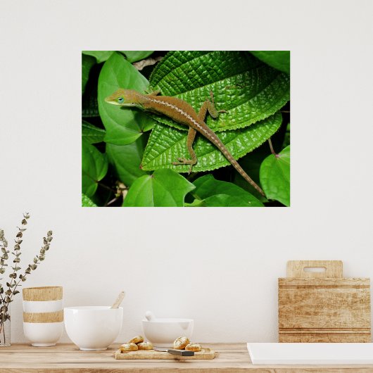 Hawaiian Chameleon Poster (Keuken)