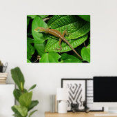 Hawaiian Chameleon Poster (Thuiskantoor)