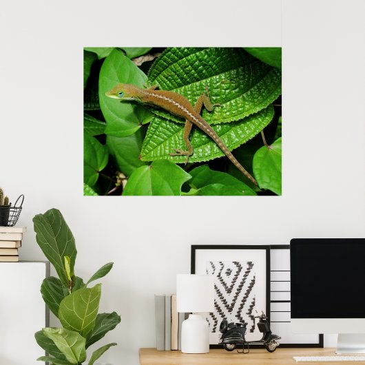 Hawaiian Chameleon Poster (Thuiskantoor)
