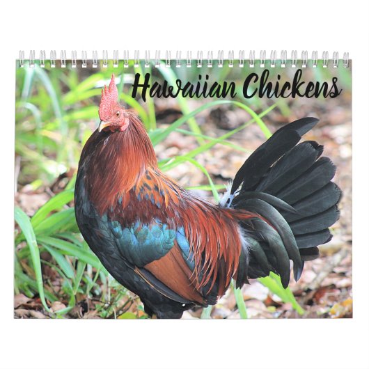 Hawaiian Chickens Kalender (Hoes)