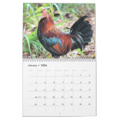 Hawaiian Chickens Kalender (Jan 2026)