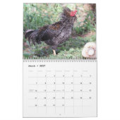 Hawaiian Chickens Kalender (Mar 2027)