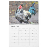 Hawaiian Chickens Kalender (Feb 2027)