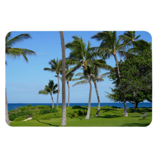 Hawaiian Coastal Uitzicht fotomagneet Magneet