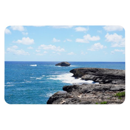 Hawaiian Coastal Uitzicht fotomagneet Magneet (Horizontaal)