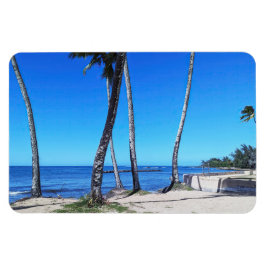 Hawaiian Coastal Uitzicht fotomagneet Magneet
