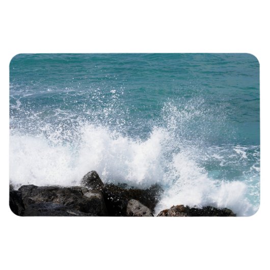 Hawaiian Coastal Uitzicht fotomagneet Magneet (Horizontaal)