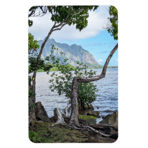Hawaiian Coastal Uitzicht fotomagneet Magneet
