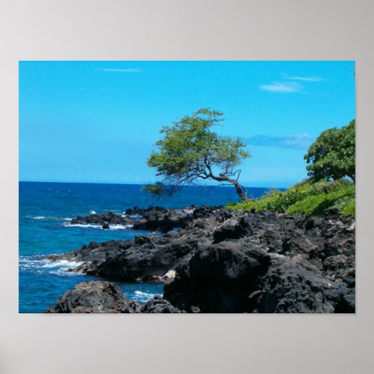 Hawaiian Coastline Poster (Voorkant)