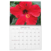 Hawaiian Color 2012 Kalender (Feb 2027)