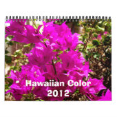 Hawaiian Color 2012 Kalender (Hoes)