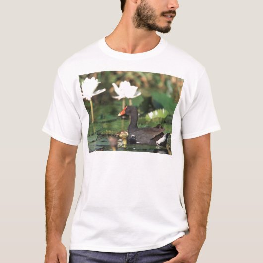 Hawaiian Common Moorhead T-shirt (Voorkant)