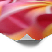 Hawaiian Dayz Poster (Hoek)