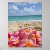 Hawaiian Dayz Poster (Voorkant)